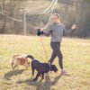 Duo Anti-Tangle Leash - Imagem 4